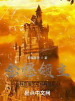 金穗領(lǐng)主：種田是不可能種田的小說封面