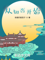 從知否開始小說封面